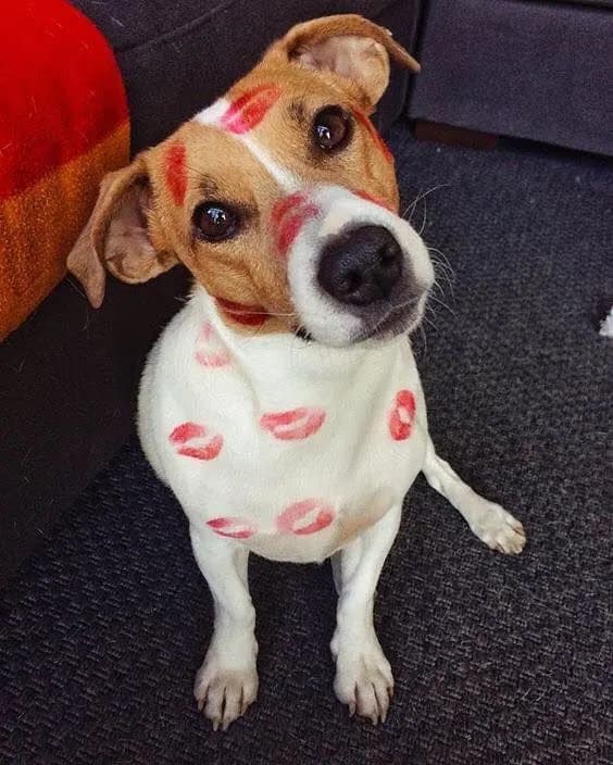 Пример фотографии: Lipstick Marks