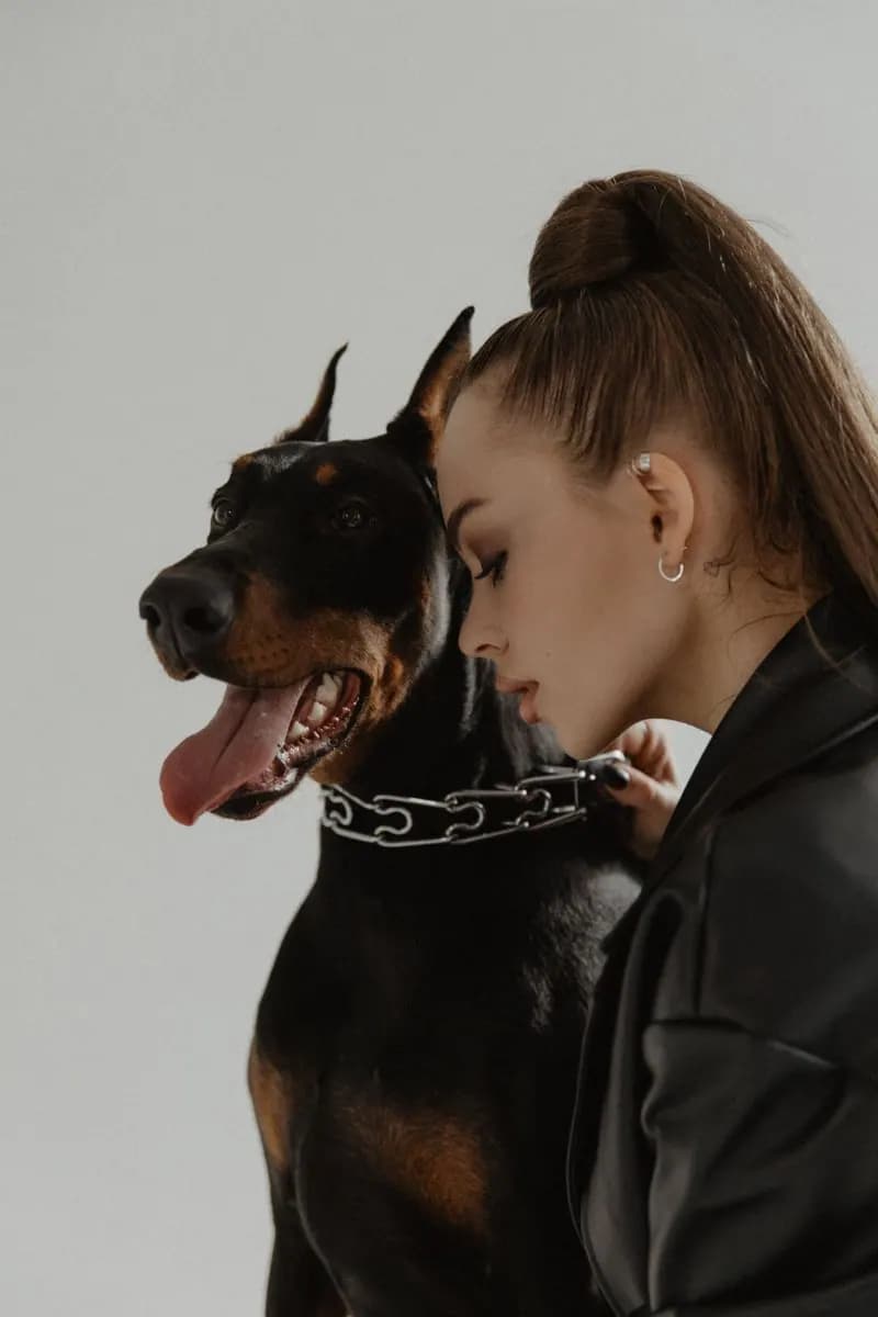 Пример фотографии: Doberman on Light