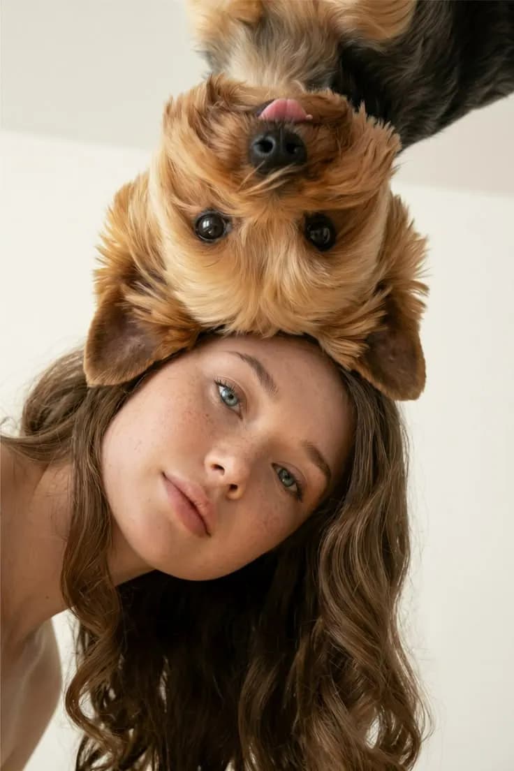 Пример фотографии: Puppies on Top