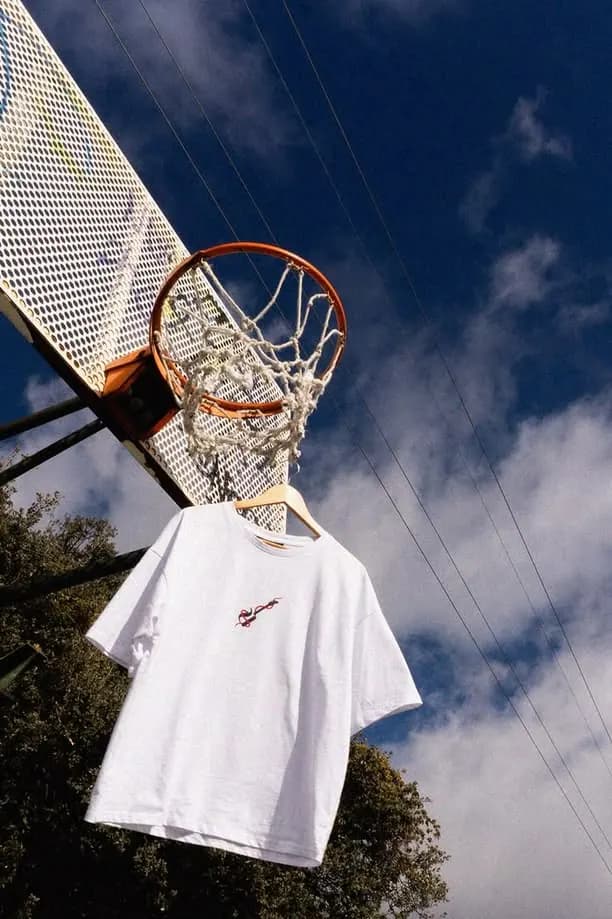 Пример фотографии: Tee on the Hoop
