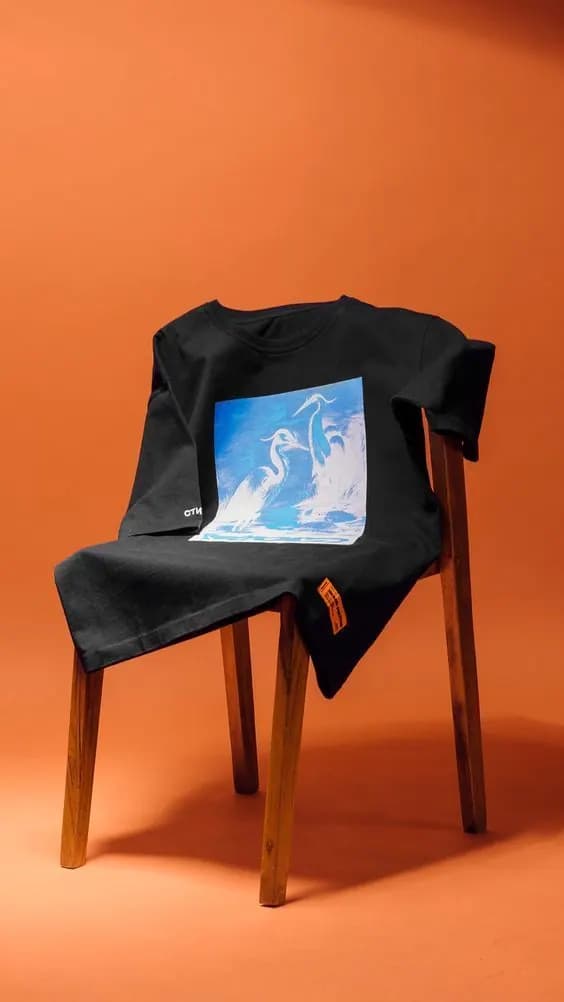 Пример фотографии: Tee on a Chair