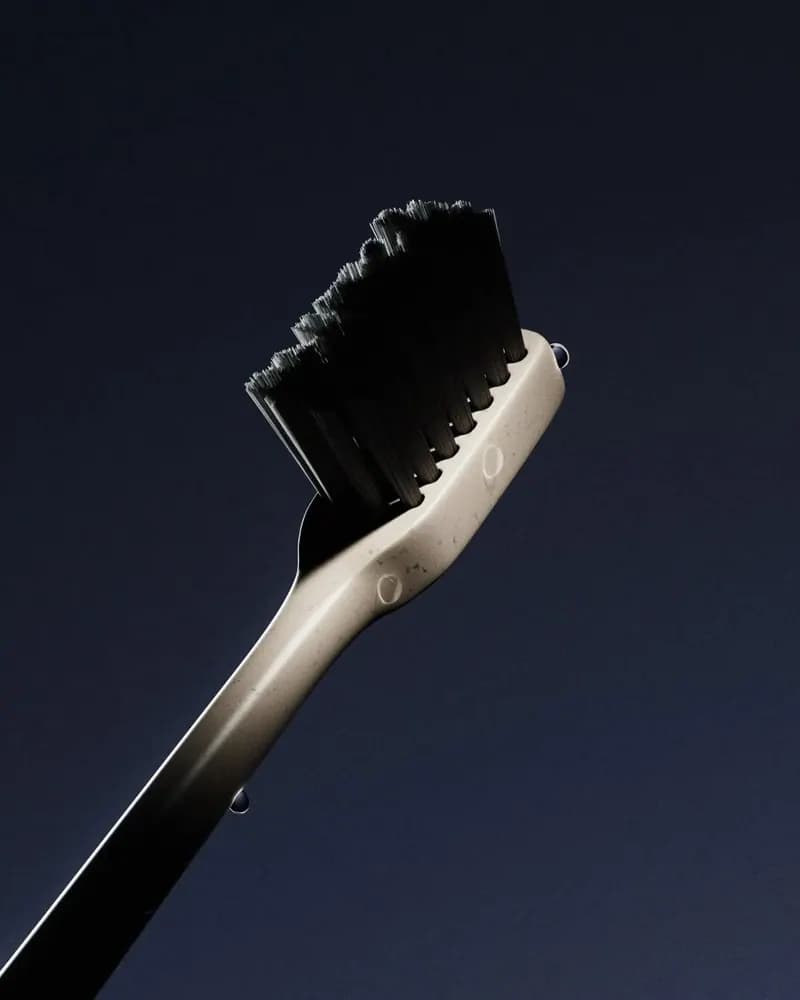 Пример фотографии: Brush in the Light